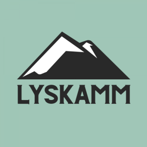 Favicon Lyskamm kleur